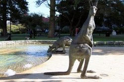 Kangaroo Sculptures at Stirling Gardens